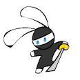 Ninja Bunny